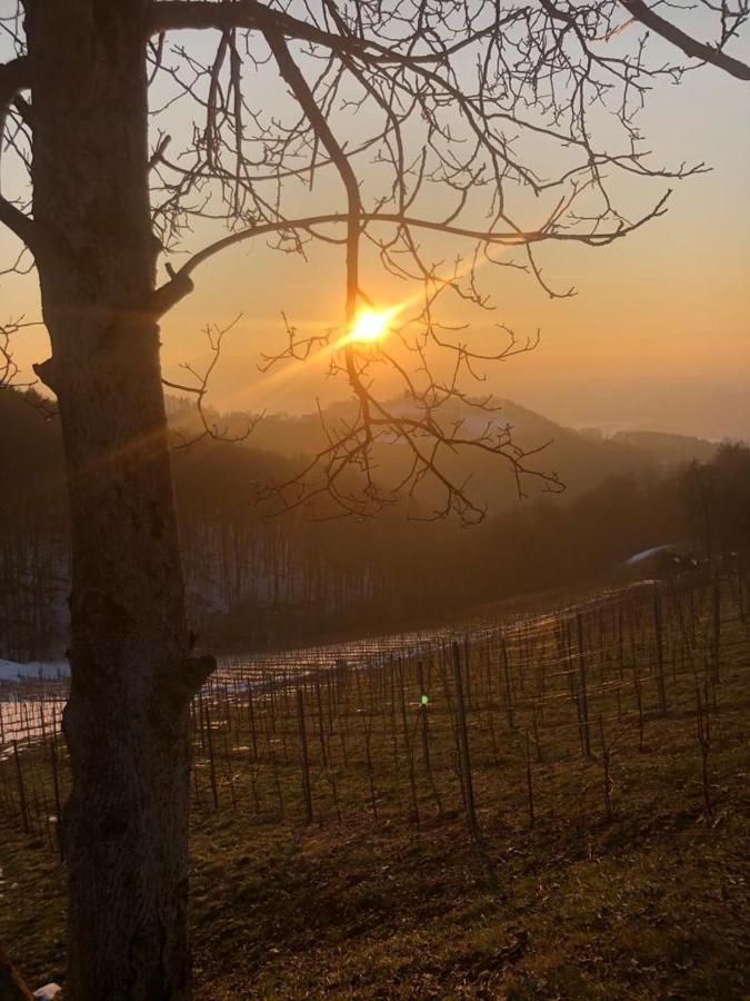 Hotel Gaestezimmer Klopfer Sankt Johann im Saggautal Zewnętrze zdjęcie