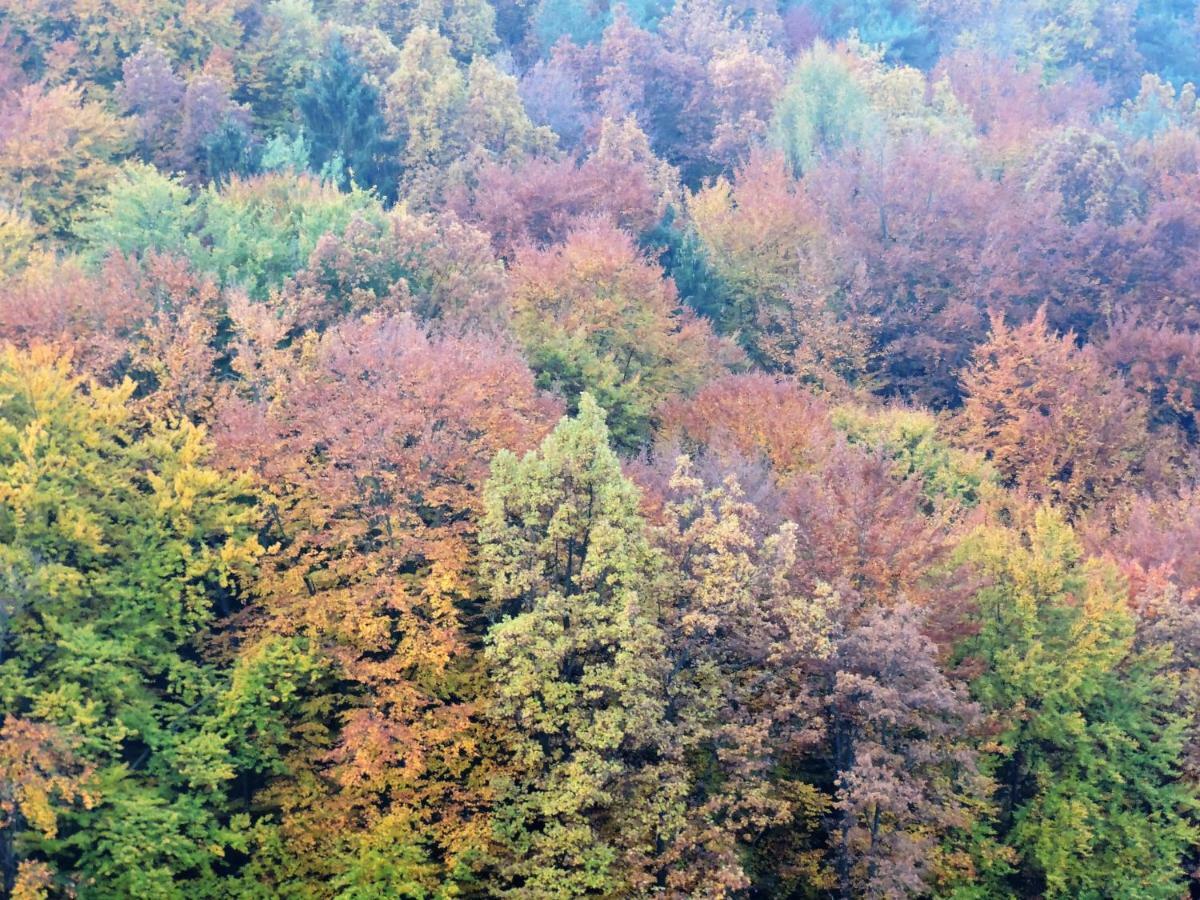 Hotel Gaestezimmer Klopfer Sankt Johann im Saggautal Zewnętrze zdjęcie